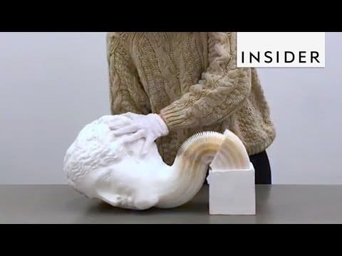 Paper Sculptures Look Like Statues