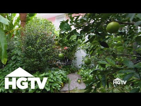 Design Tips | All About Fruit Trees – HGTV